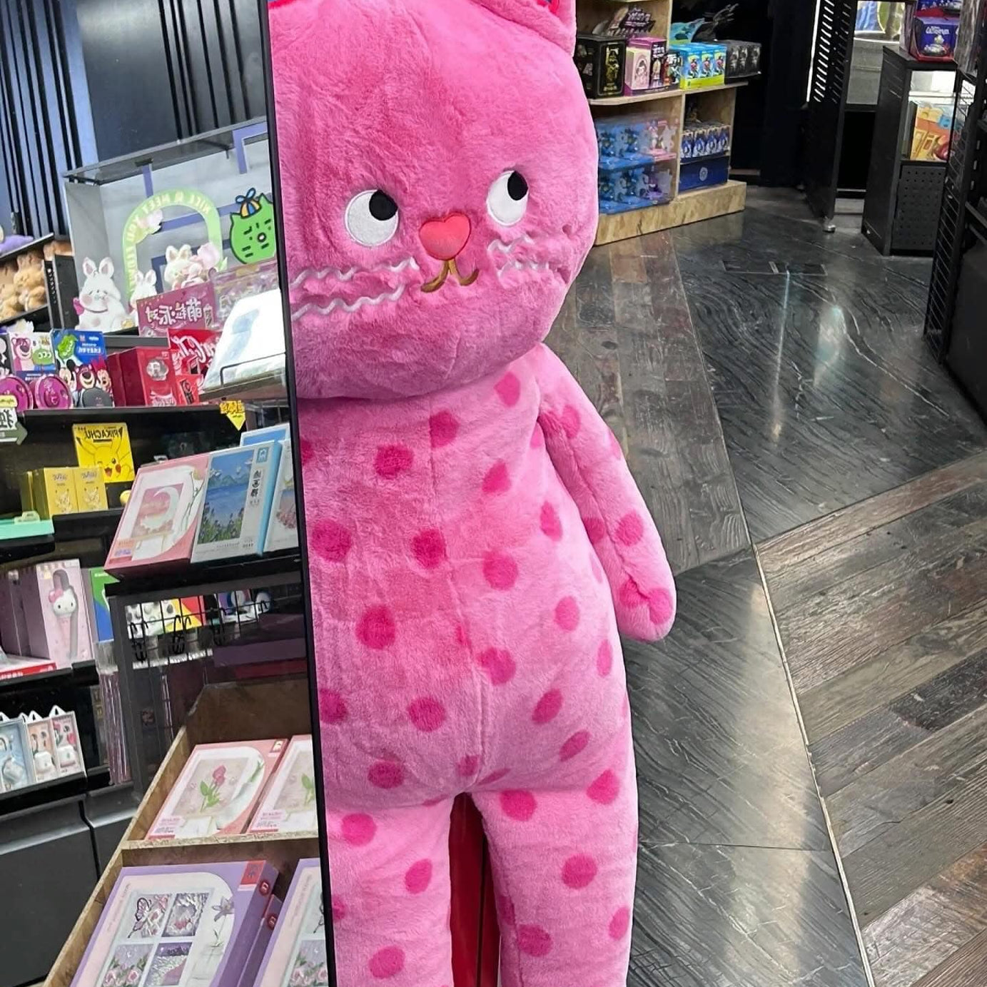 ខ្មែវខ្មឺត Lazy Meow #PT01