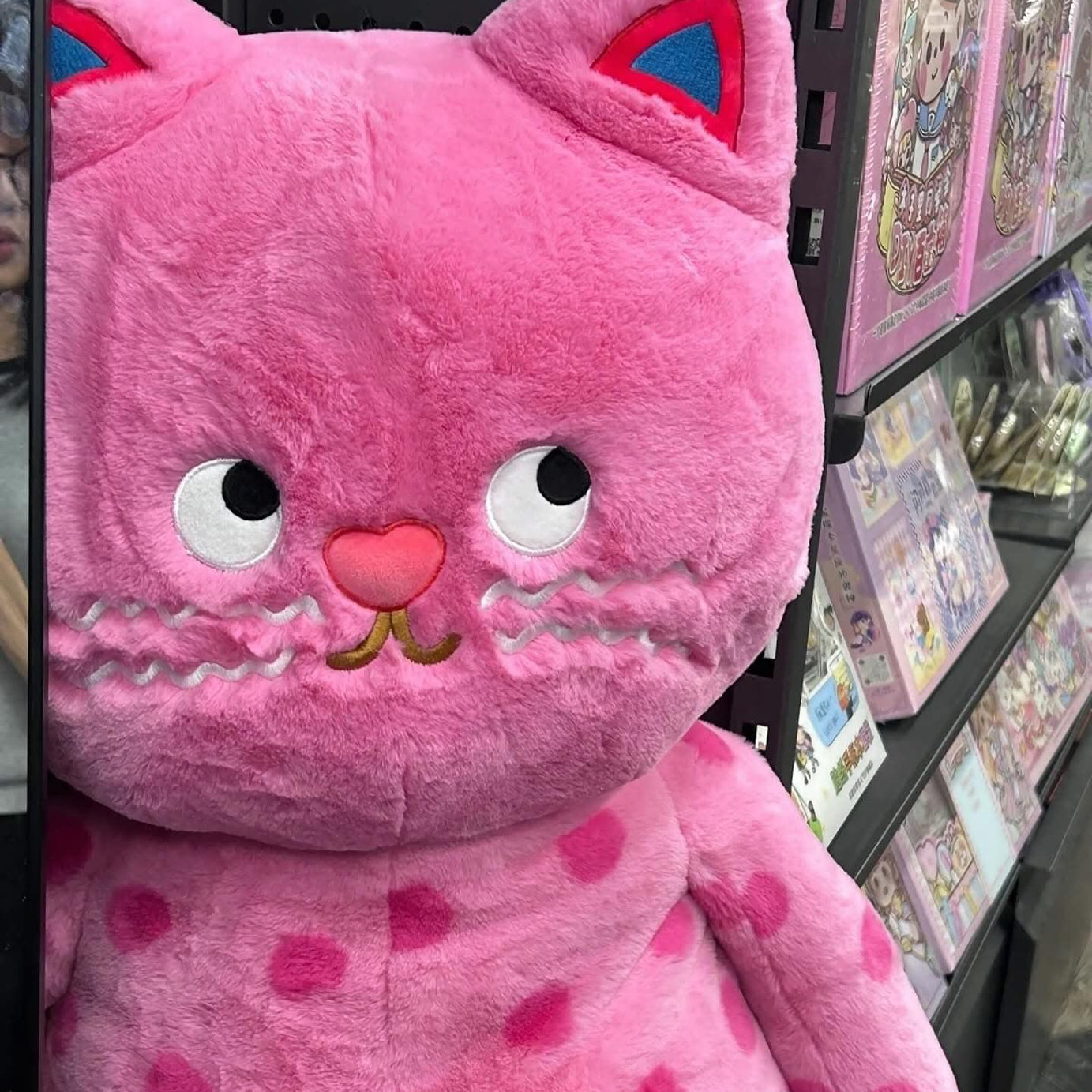 ខ្មែវខ្មឺត Lazy Meow #PT01