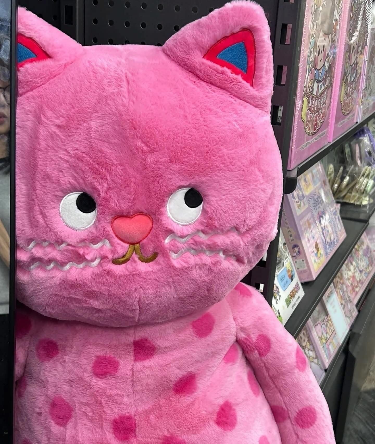 ខ្មែវខ្មឺត Lazy Meow #PT01