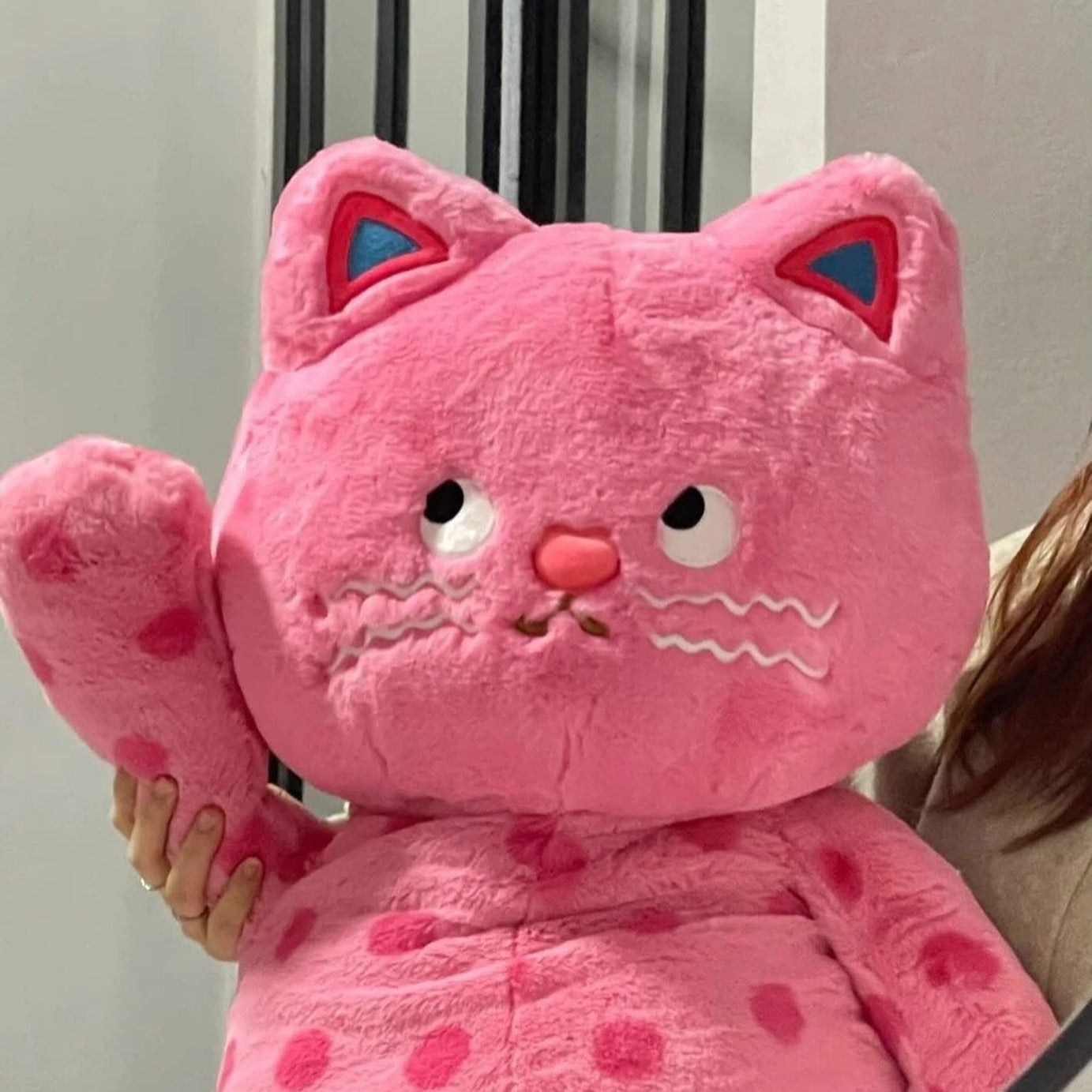 ខ្មែវខ្មឺត Lazy Meow #PT01