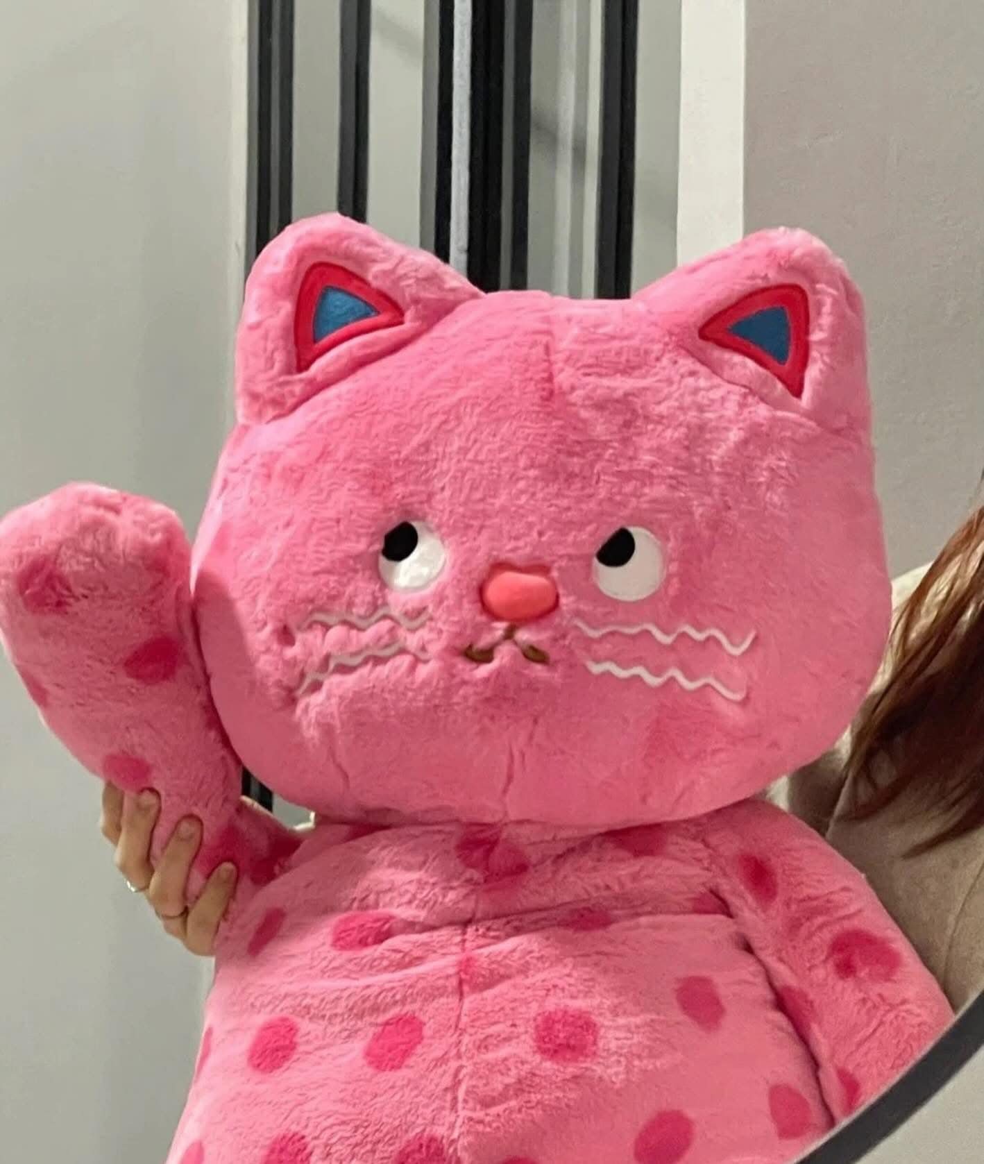 ខ្មែវខ្មឺត Lazy Meow #PT01