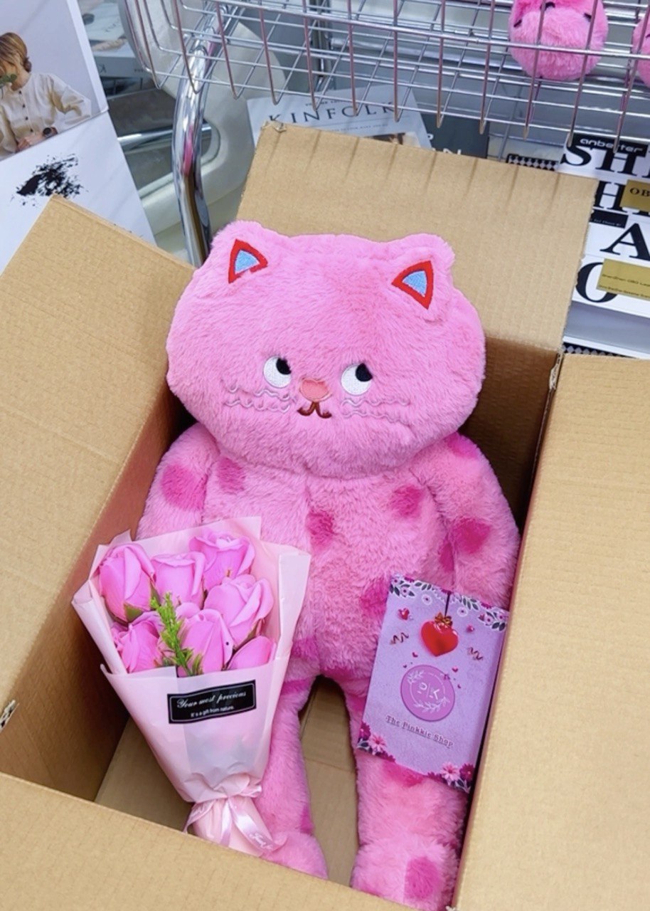 ឈុត Lazy Meow ថែមការដូ 3មុខ (Size:M)